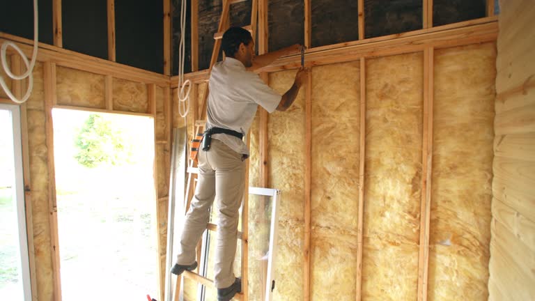 Best Basement Insulation  in Pinedale, WY